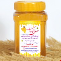 عسل بهاره مرکبات درجه 1