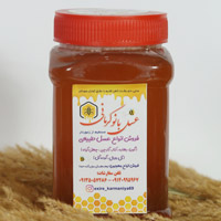 عسل کنار طبیعی درجه یک