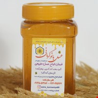 عسل گون درجه یک ارگانیک